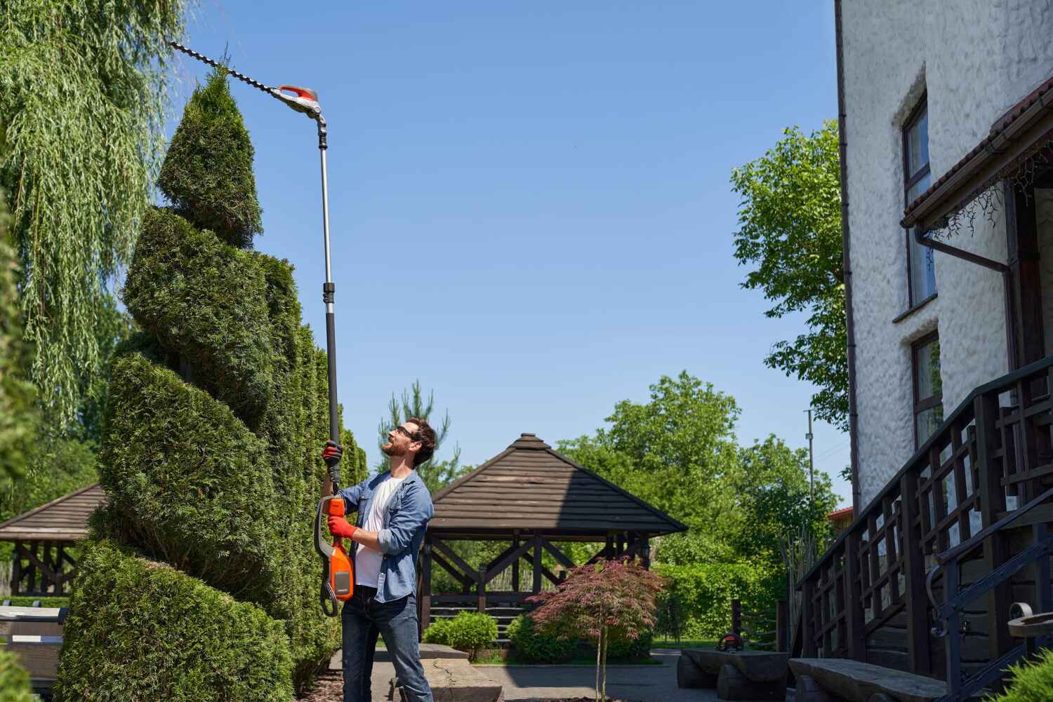 Best Tree Trimming Near Me  in Oriole Beach, FL